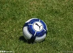 载辉煌,懂球帝,佳选,开云体育,开云体育官网,开云体育官方网站,KAIYUN体育