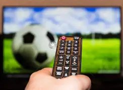 纽卡中场阵,容闪耀欧洲,之巅,开云体育,开云体育官网,开云体育官方网站,KAIYUN体育