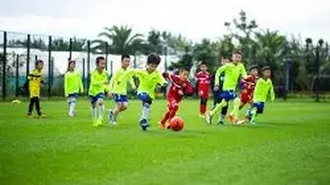 开云APP体育 资讯 102655 fyk