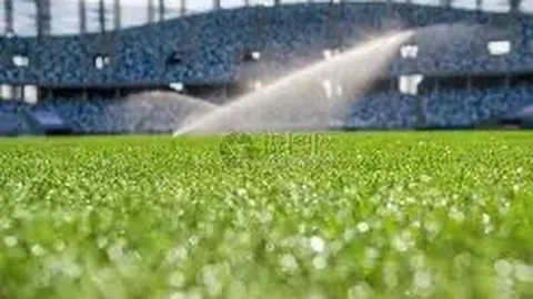 开云APP体育 资讯 134030 1t1