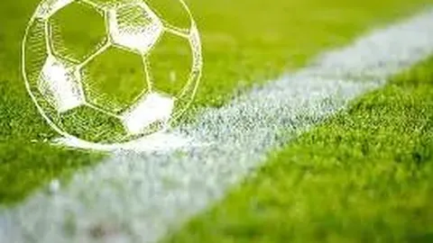 开云APP体育 资讯 103234 t8y