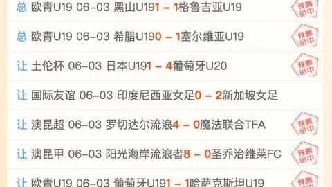 独家爆料：费内巴切正式向格林伍德发出报价邀请