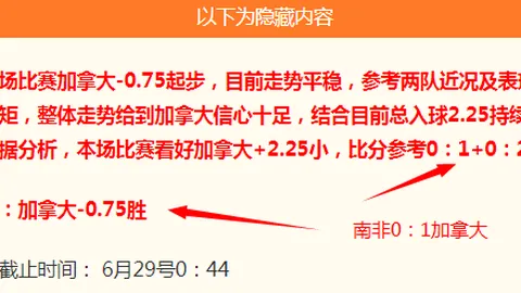 开云体育 134648