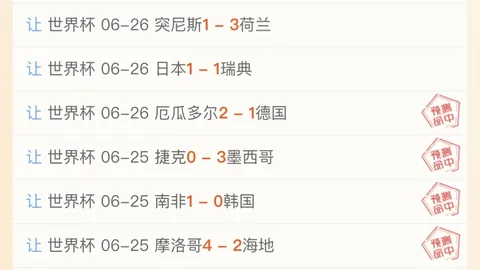 开云体育 135303 08