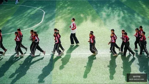 2026赛季匈牙利女篮日本女篮开云赛事直播：战绩分析终极指南